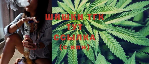 стаф Валдай