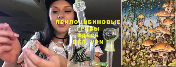 ECSTASY Белокуриха