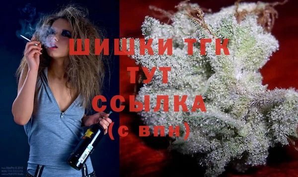 ECSTASY Белокуриха