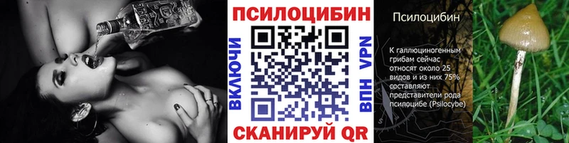 магазин продажи   Шадринск  Псилоцибиновые грибы ЛСД 